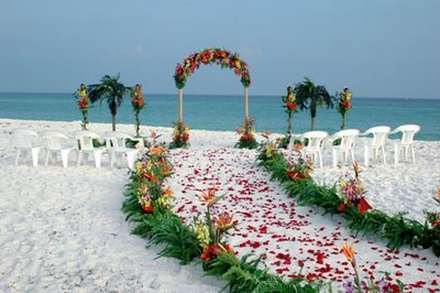 Wedding Video on Roatan Web Com   Roatan Honduras Wedding Information  Roatan Weddings