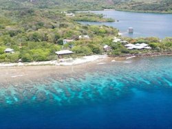 Roatan Sea Plane Ride Excursion