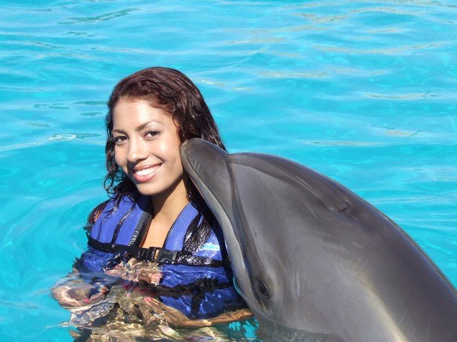 Roatan Swim With Dolphins