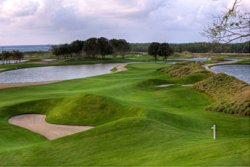 Roatan Golfing Excursion